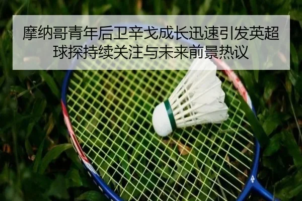 摩纳哥青年后卫辛戈成长迅速引发英超球探持续关注与未来前景热议