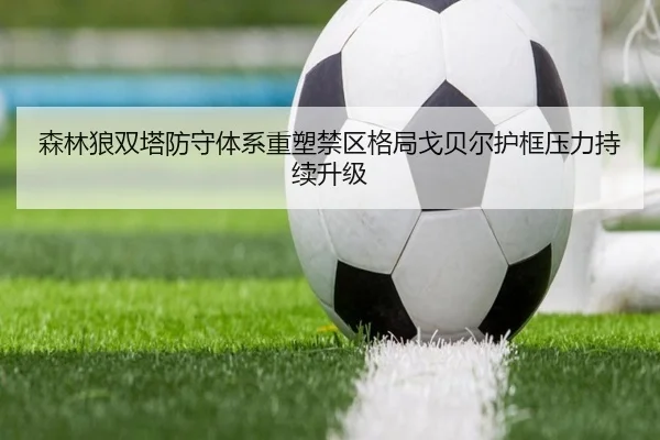 森林狼双塔防守体系重塑禁区格局戈贝尔护框压力持续升级